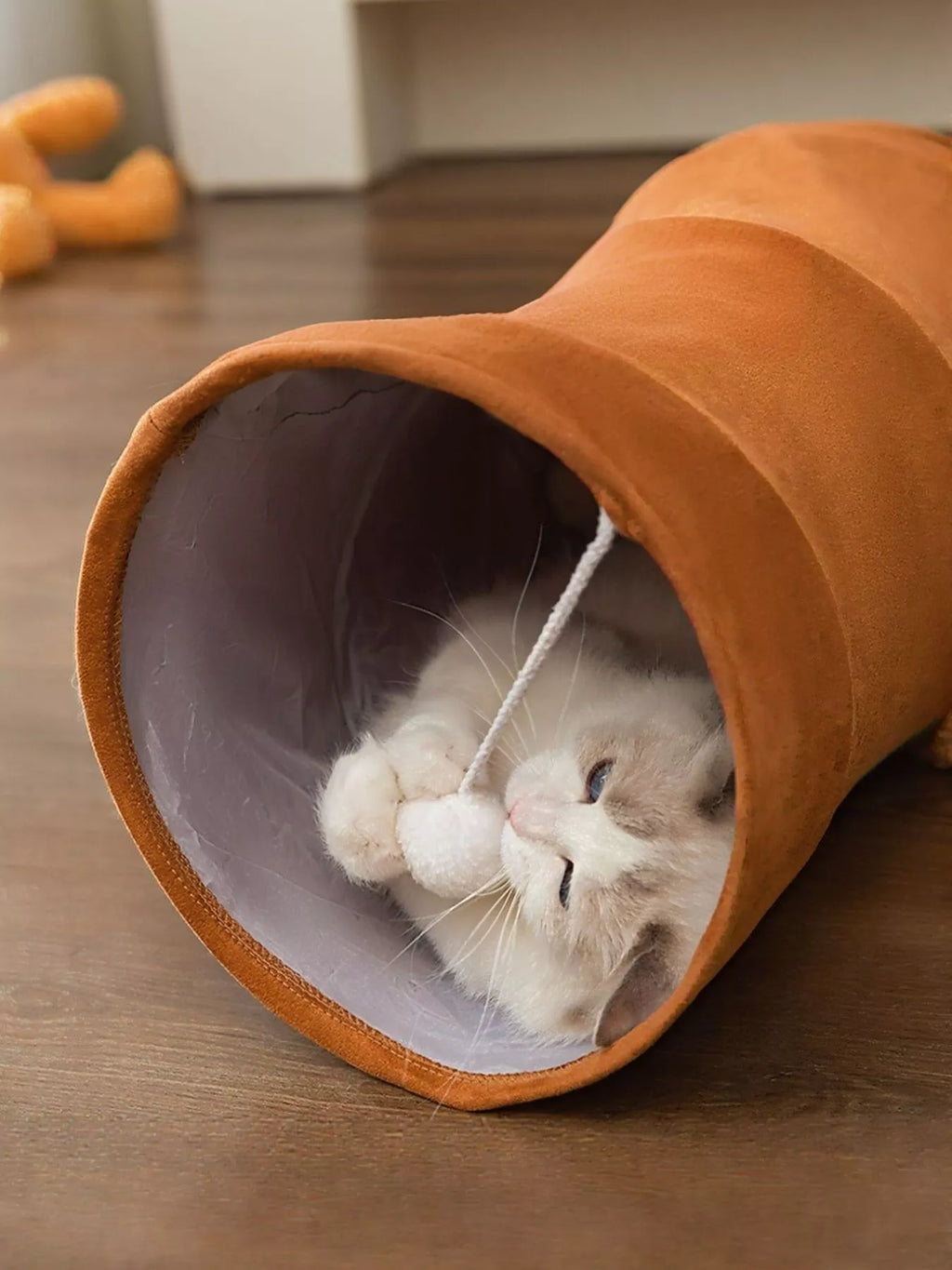 Foldable Cat Tunnel Toy -