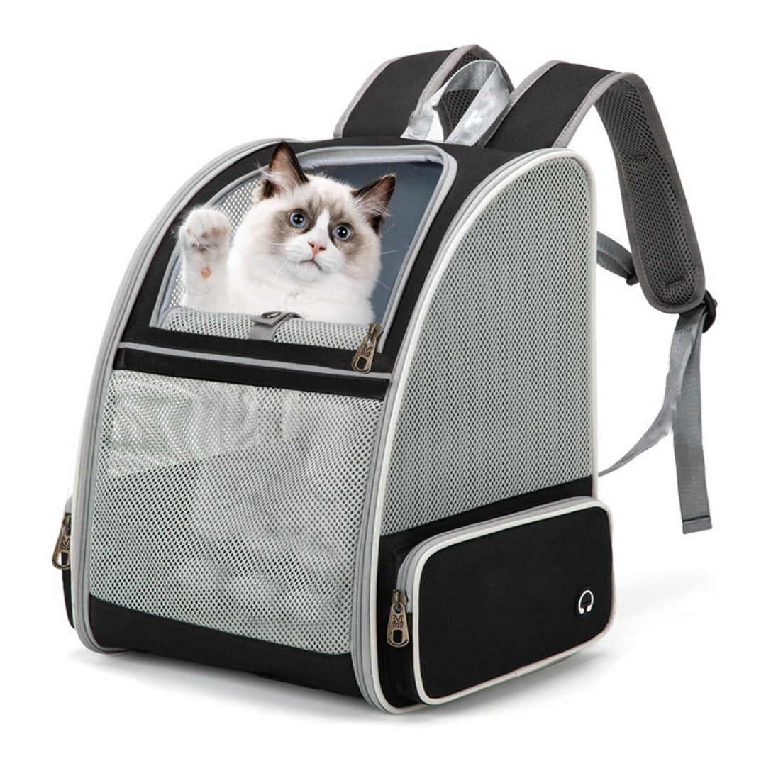 Backpack Carriers