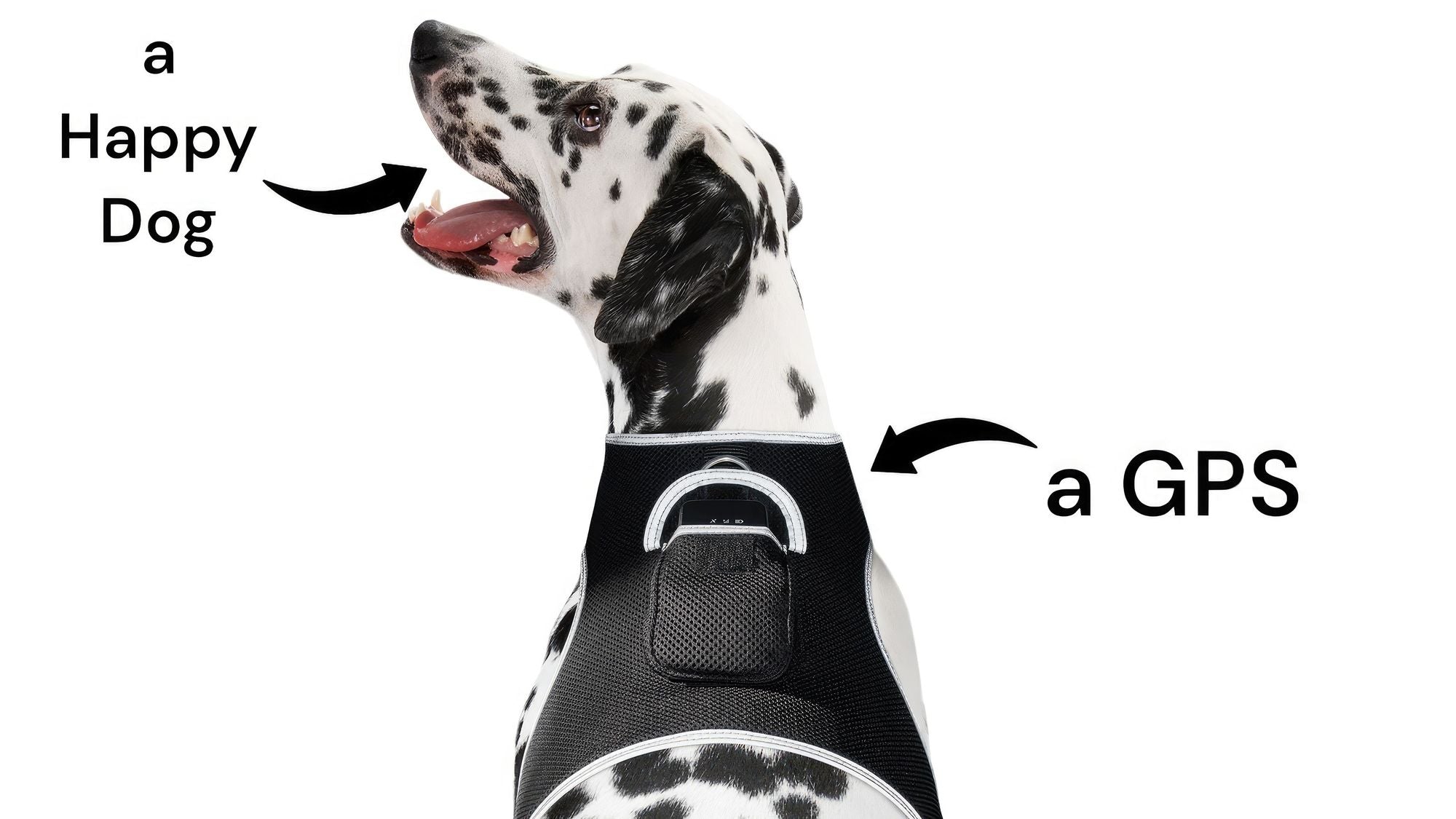 GSM GPS Animal Tracker Collar Attached Rechargeable Realtime Surveillance Gadget Size:XXL