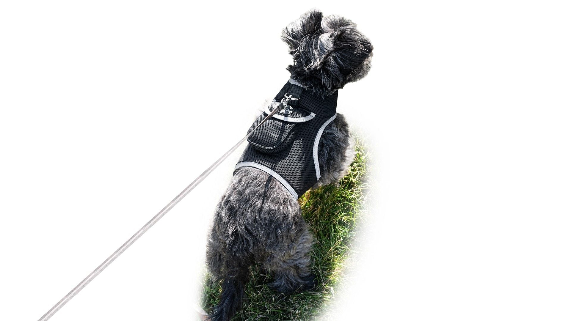 GSM GPS Animal Tracker Collar Attached Rechargeable Realtime Surveillance Gadget Size:XXL
