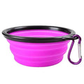 Collapsible Silicone Cat and Dog Food Water Bowl