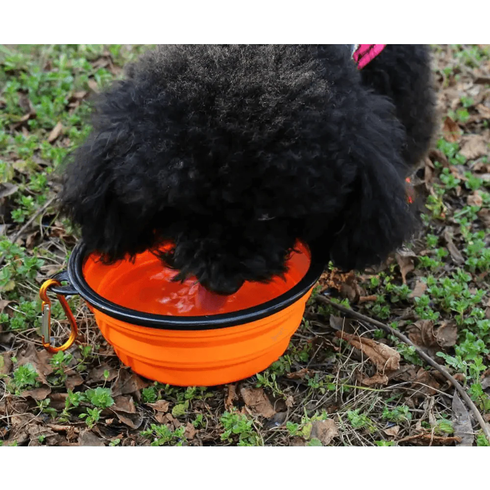 Collapsible Silicone Cat and Dog Food Water Bowl